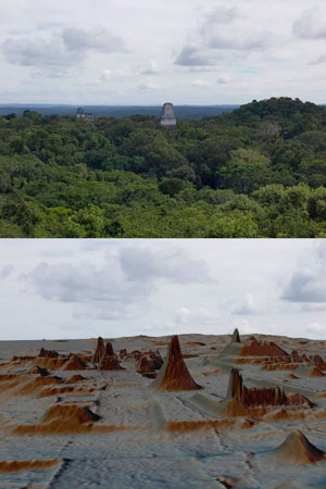 rolim-de-moura