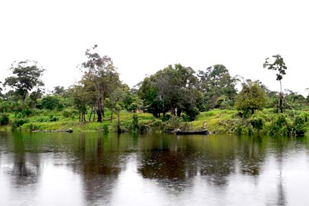 rolim-de-moura