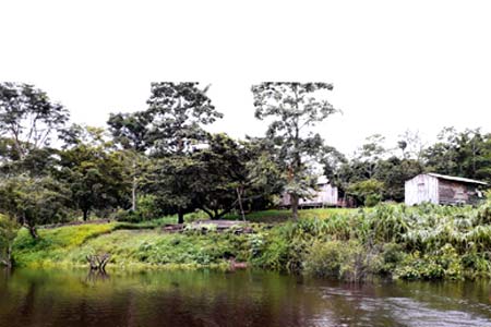 rolim-de-moura